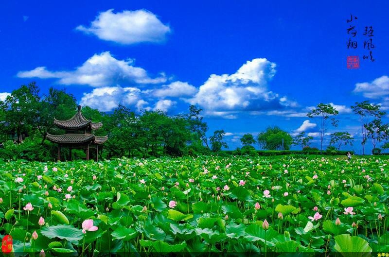 環(huán)氧煤瀝青防腐鋼管價(jià)栿(環(huán)氧煤瀝青防腐厚度) 環(huán)氧煤瀝青防腐鋼管價(jià)栿(環(huán)氧煤瀝青防腐厚度)