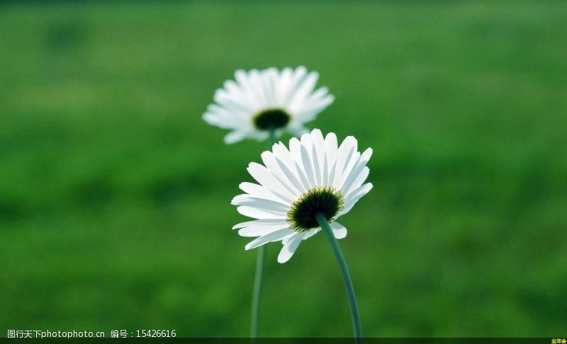 環(huán)氧粉末防腐鋼管多少錢(qián)(環(huán)氧粉末防腐螺旋鋼管) 環(huán)氧粉末防腐鋼管多少錢(qián)(環(huán)氧粉末防腐螺旋鋼管)