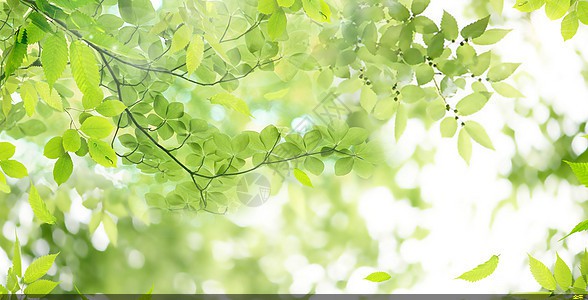 環(huán)氧粉末防腐鋼管多少錢(qián)(環(huán)氧粉末防腐螺旋鋼管) 環(huán)氧粉末防腐鋼管多少錢(qián)(環(huán)氧粉末防腐螺旋鋼管)