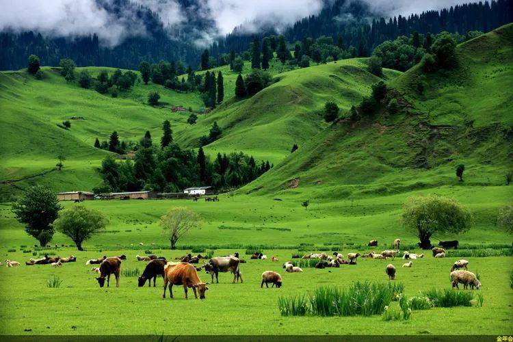 環(huán)氧粉末防腐鋼管標(biāo)準(zhǔn)(環(huán)氧粉末涂塑鋼管) 環(huán)氧粉末防腐鋼管標(biāo)準(zhǔn)(環(huán)氧粉末涂塑鋼管)