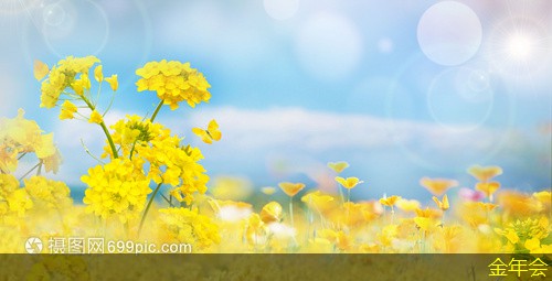 tpep防腐鋼管的使用案例研究 tpep防腐鋼管的使用案例研究