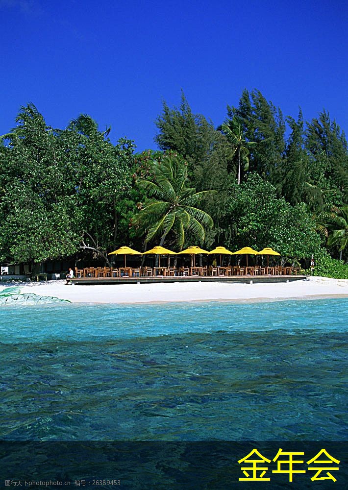 tpep防腐鋼管的國際市場展望 tpep防腐鋼管的國際市場展望