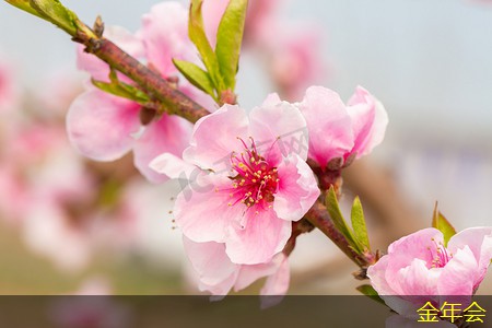 tpep防腐鋼管的安裝規(guī)范要求 tpep防腐鋼管的安裝規(guī)范要求