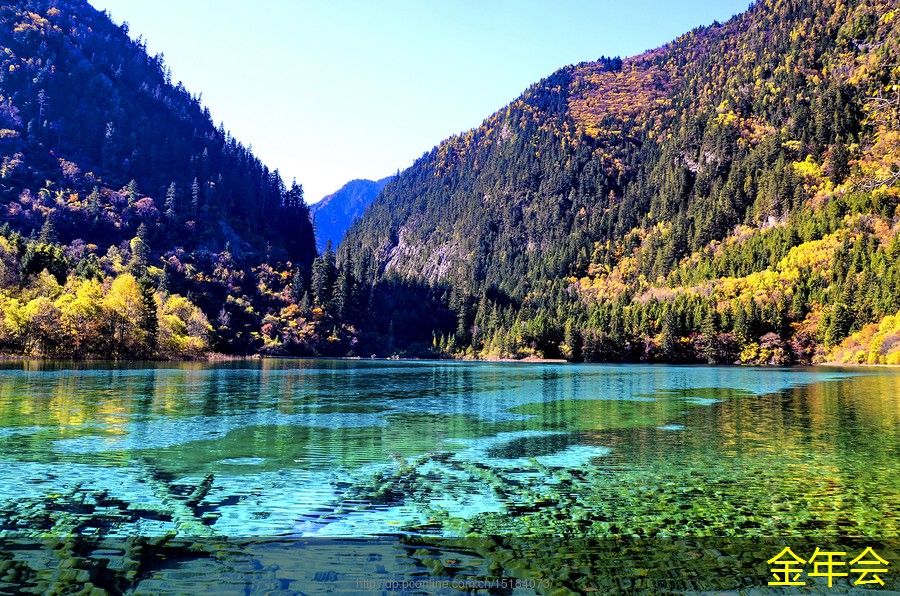 tpep防腐鋼管的市場推廣策略 tpep防腐鋼管的市場推廣策略