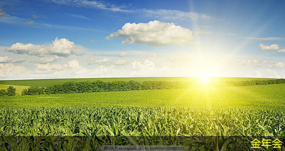 tpep防腐鋼管的市場(chǎng)調(diào)研方法 tpep防腐鋼管的市場(chǎng)調(diào)研方法