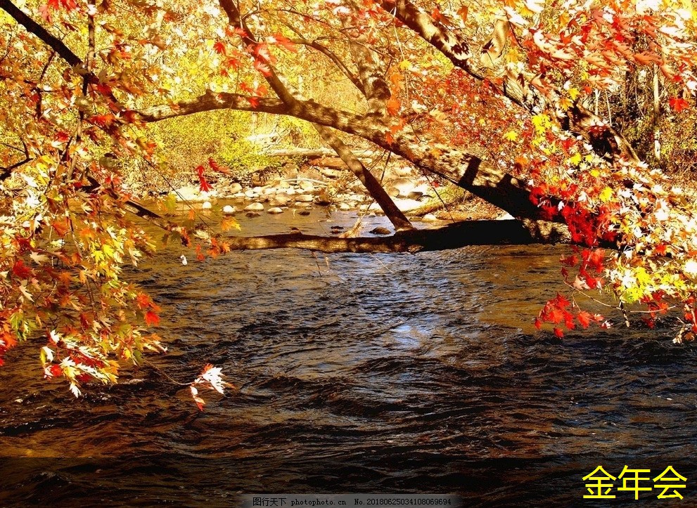 tpep防腐鋼管的應(yīng)用研究現(xiàn)狀 tpep防腐鋼管的應(yīng)用研究現(xiàn)狀