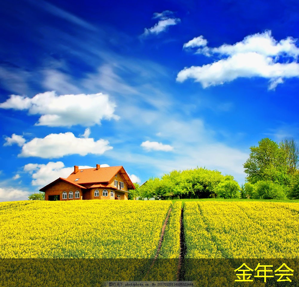 tpep防腐鋼管的技術(shù)性能評估 tpep防腐鋼管的技術(shù)性能評估