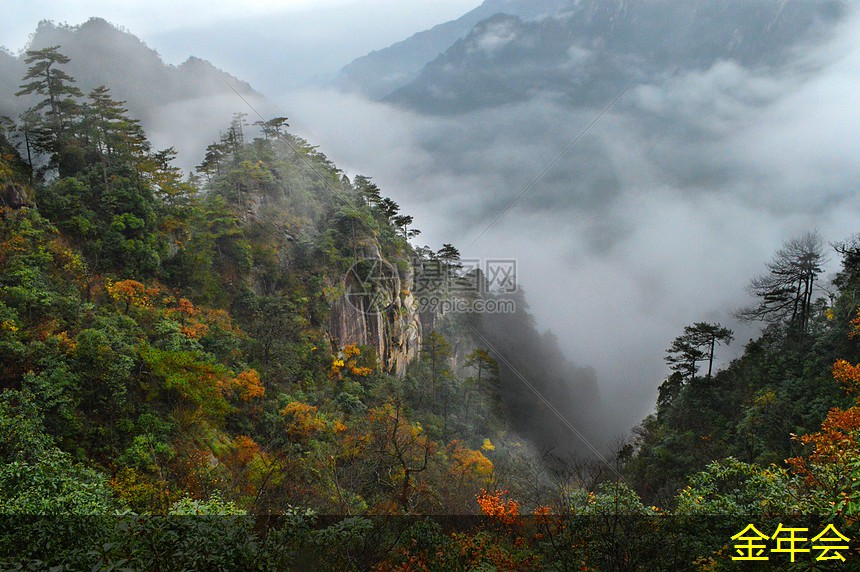 tpep防腐鋼管的生產(chǎn)技術(shù)解析