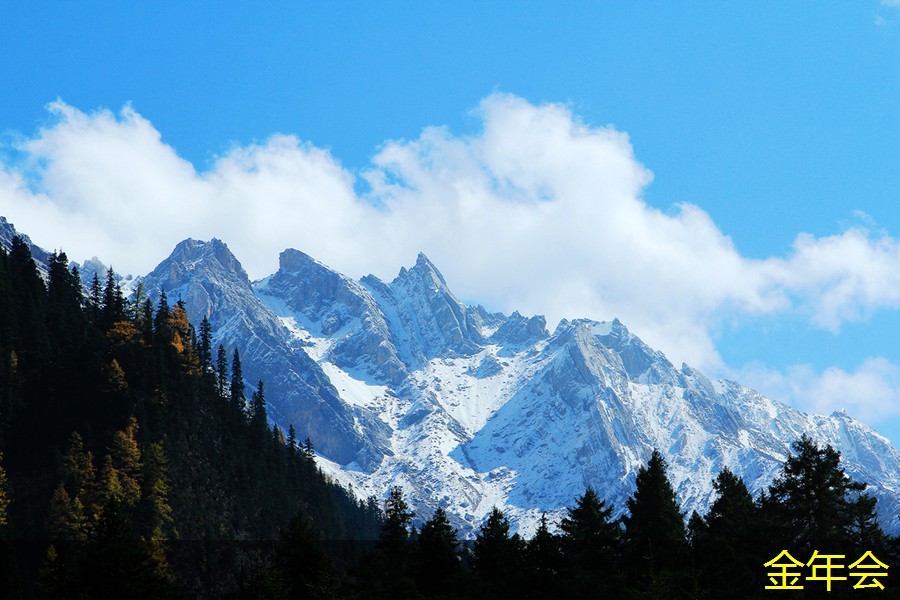 如何選擇優(yōu)質(zhì)鋼套鋼保溫鋼管 如何選擇優(yōu)質(zhì)鋼套鋼保溫鋼管