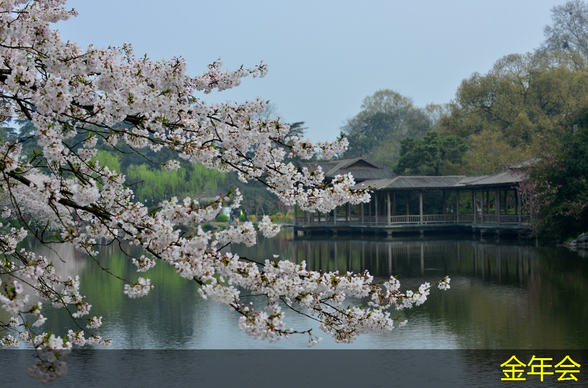 水泥砂漿防腐鋼管的質(zhì)量要求 水泥砂漿防腐鋼管的質(zhì)量要求