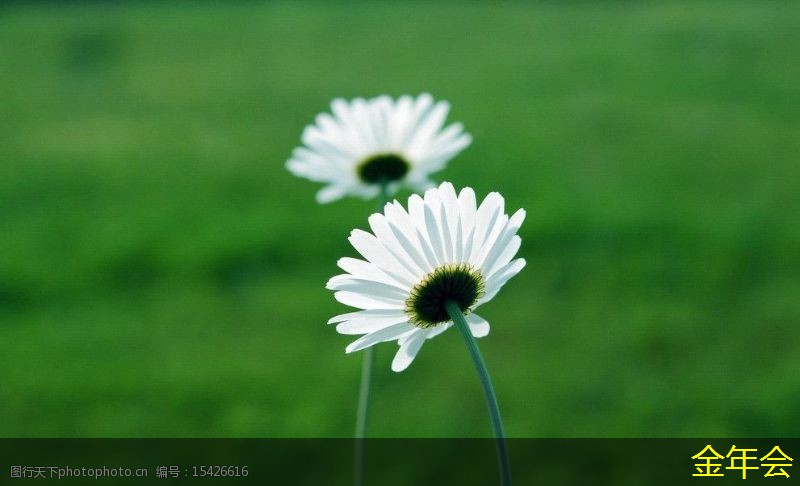 涂塑鋼管的使用環(huán)境要求 涂塑鋼管的使用環(huán)境要求