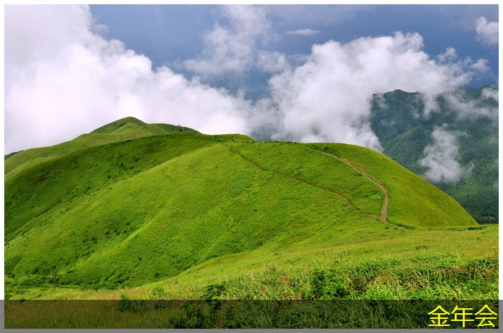 涂塑鋼管的常見品牌比較