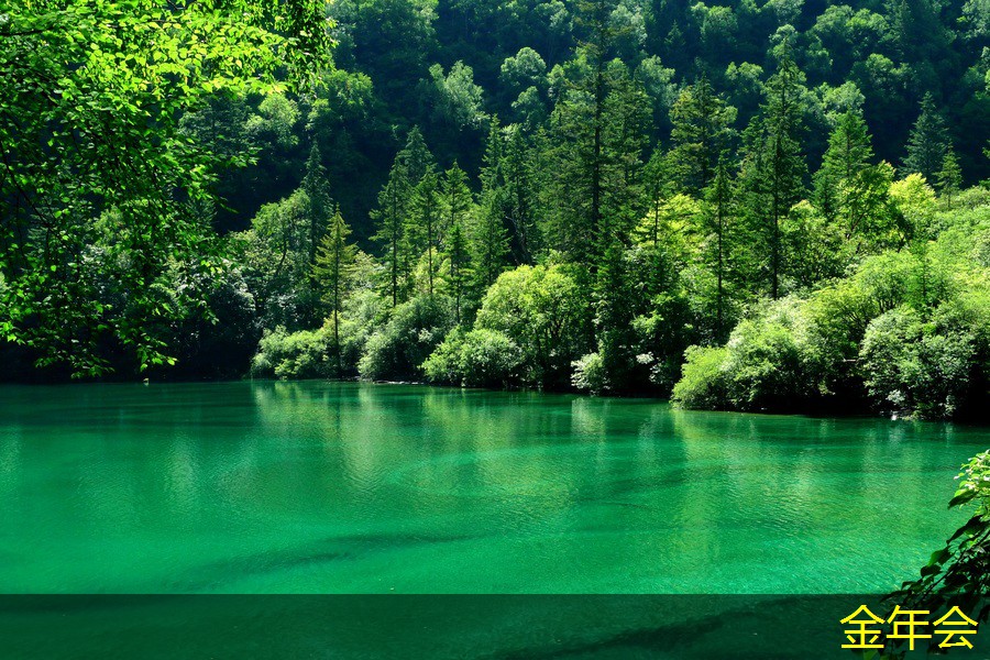 涂塑鋼管的技術(shù)改進(jìn)方向