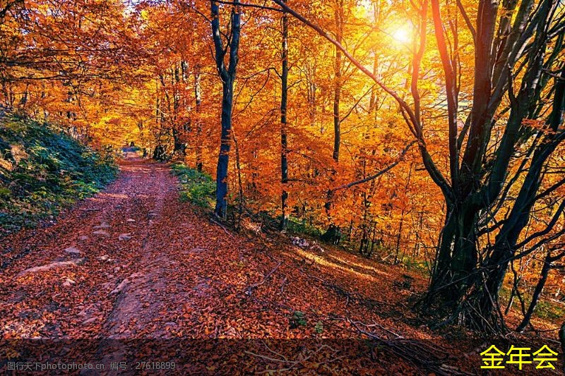 涂塑鋼管的涂層厚度選擇