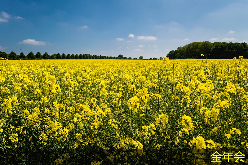 環(huán)氧煤瀝青防腐鋼管的技術(shù)應(yīng)用與