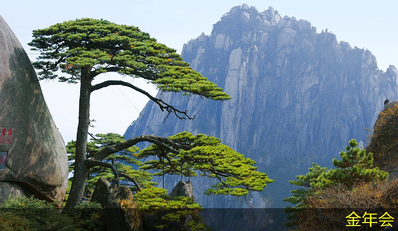 環(huán)氧煤瀝青防腐鋼管的質(zhì)量控制標準