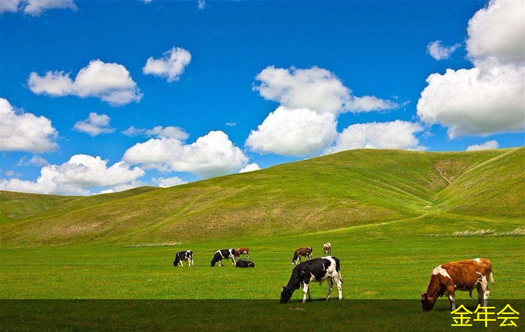 環(huán)氧粉末防腐鋼管性能標(biāo)準(zhǔn)分析