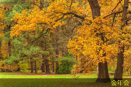 環(huán)氧粉末防腐鋼管標(biāo)準(zhǔn)的制定過(guò)程詳解 環(huán)氧粉末防腐鋼管標(biāo)準(zhǔn)的制定過(guò)程詳解