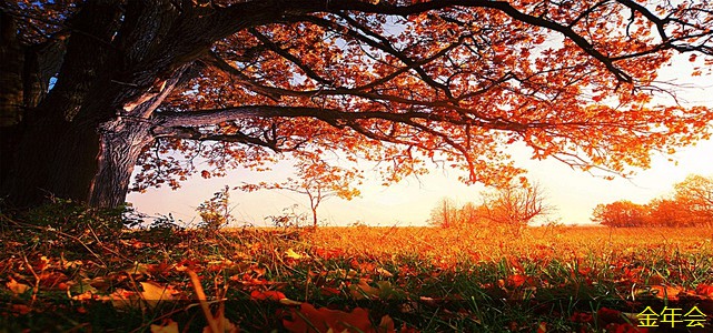 環(huán)氧粉末防腐鋼管的性能提升方案 環(huán)氧粉末防腐鋼管的性能提升方案