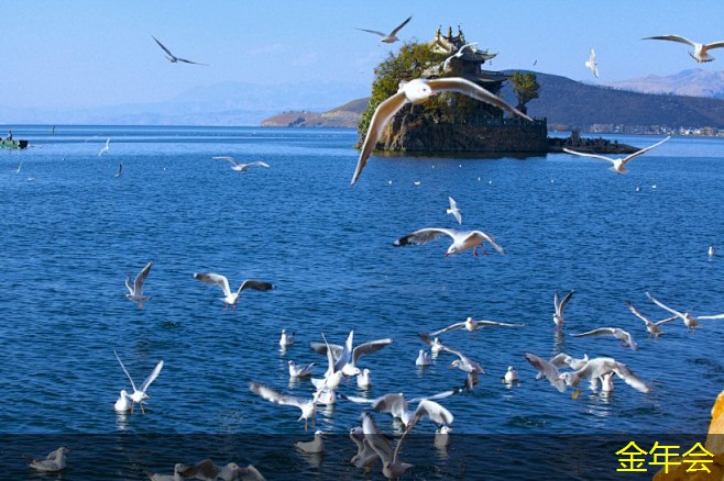 環(huán)氧粉末防腐鋼管的生產(chǎn)標(biāo)準(zhǔn)實施要點 環(huán)氧粉末防腐鋼管的生產(chǎn)標(biāo)準(zhǔn)實施要點