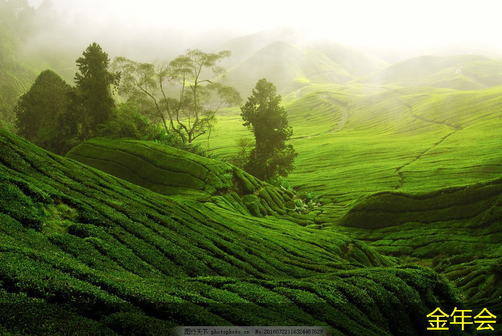 環(huán)氧粉末防腐鋼管的行業(yè)應(yīng)用分析 環(huán)氧粉末防腐鋼管的行業(yè)應(yīng)用分析