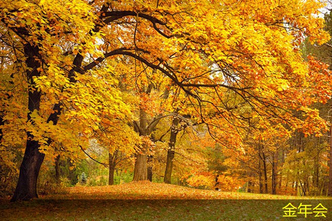鋼套鋼保溫鋼管的環(huán)保特點 鋼套鋼保溫鋼管的環(huán)保特點