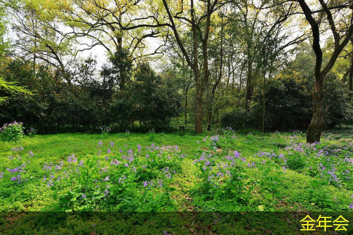 環(huán)氧粉末防腐鋼管行業(yè)標準的主要內(nèi)容 環(huán)氧粉末防腐鋼管行業(yè)標準的主要內(nèi)容