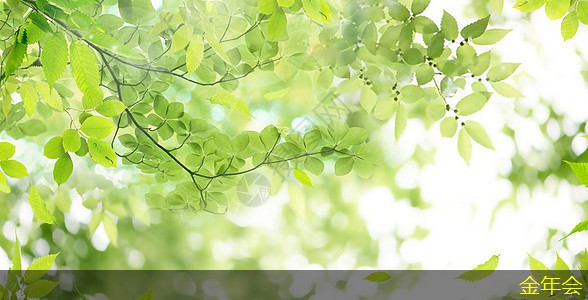 環(huán)氧粉末防腐鋼管質(zhì)量標(biāo)準(zhǔn)的實(shí)施指南 環(huán)氧粉末防腐鋼管質(zhì)量標(biāo)準(zhǔn)的實(shí)施指南