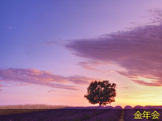 鋼套鋼保溫鋼管的技術(shù)發(fā)展趨勢(shì) 鋼套鋼保溫鋼管的技術(shù)發(fā)展趨勢(shì)